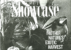 Showcase_fronte